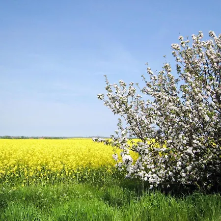 Huehnerhaus By Interhome Nonnevitz